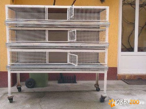 Vand cusca prepelite