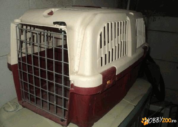 Cusca Transport MPS Skudo 3