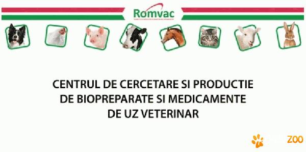 ROMVAC COMPANY S A