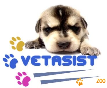 VetAsist