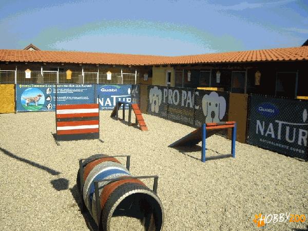 pensiune canina timisoara