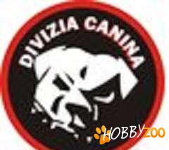 dresaj caini de paza