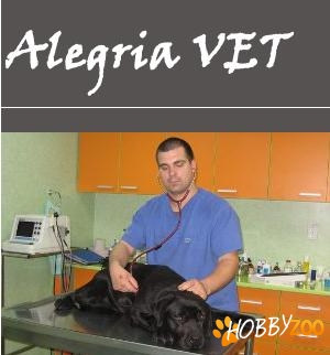 Alegria Vet