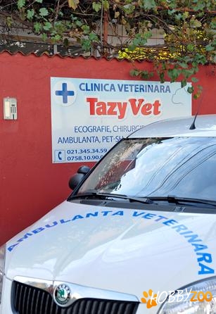 Clinica veterinara Tazy Vet  