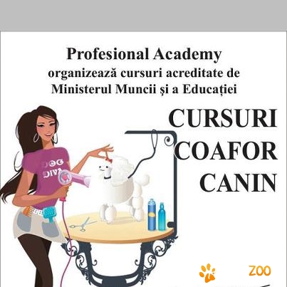 Curs Cosmetica Canina si Felina