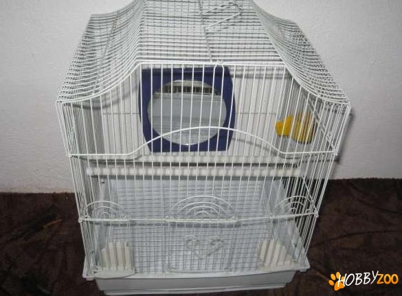 colivii pentru pasari