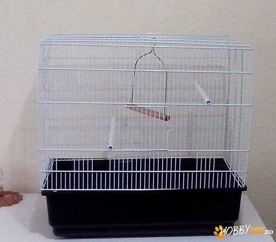 colivie cu accesorii leagan