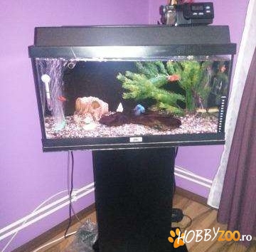 juwel 60 l complet echipat