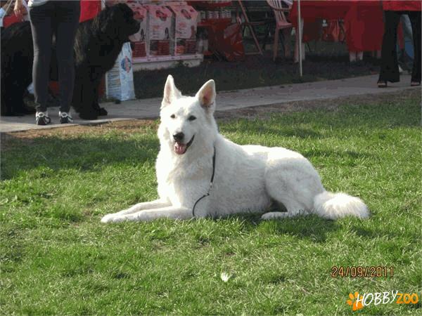 Clinica Veterinara Bio Vet