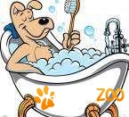 Cursuri de toaletaj canin