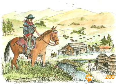 Cumpar Ferma Zootehnica