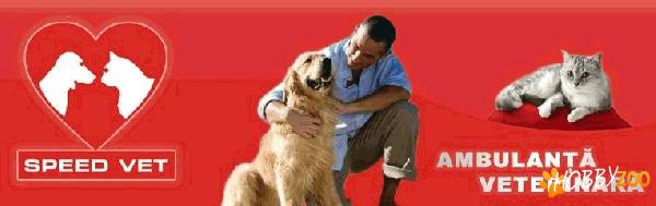 Ambulanta Veterinara Speed Vet
