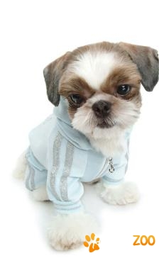 Trening din velur cu pietricele