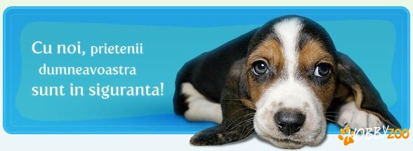 Veterinaria Tm