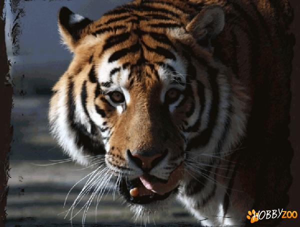 Parcul zoologic din Brăila