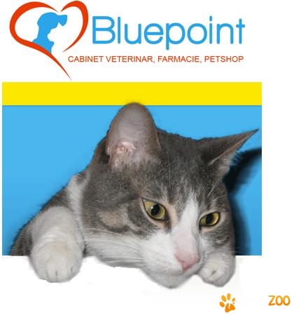 Cabinet Farmacie Petshop Bluepoint