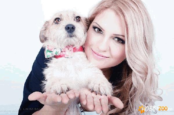 Curs Cosmetica Canina Bucuresti