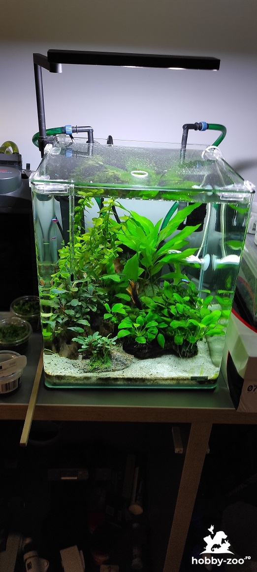 Acvariu Dennerle 30 complet