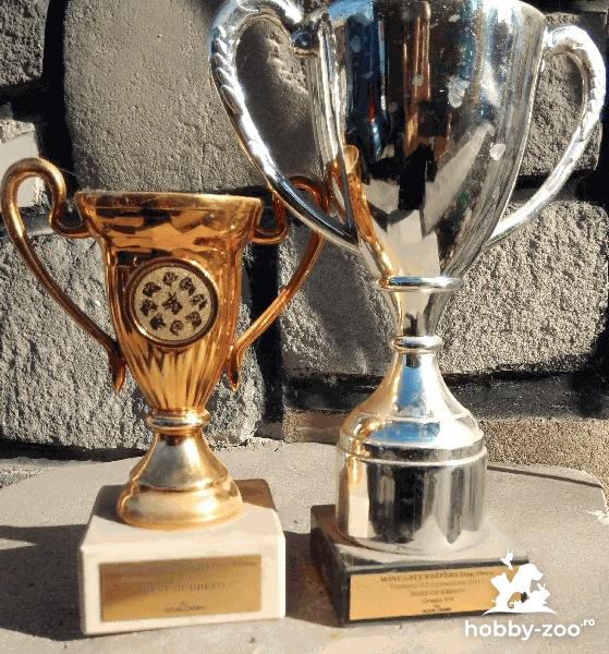 Trofee CACIB calificative internationale