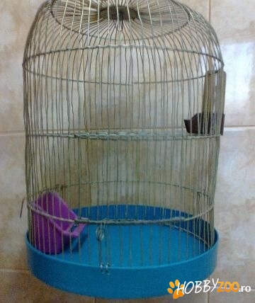 Colivie de papagali cu accesorii