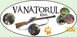 VANATOARE IN ROMANIA