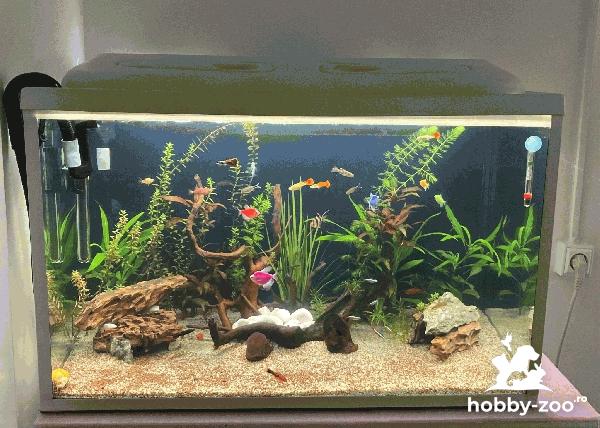 acvariu pentru pesti exotici  160 litri 