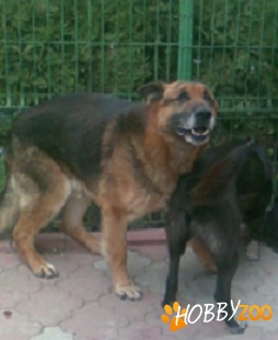 Pierduti in Bucuresti