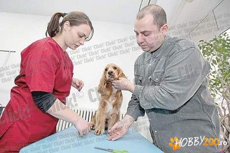 Cosmetica Canina Sfantu Gheorghe