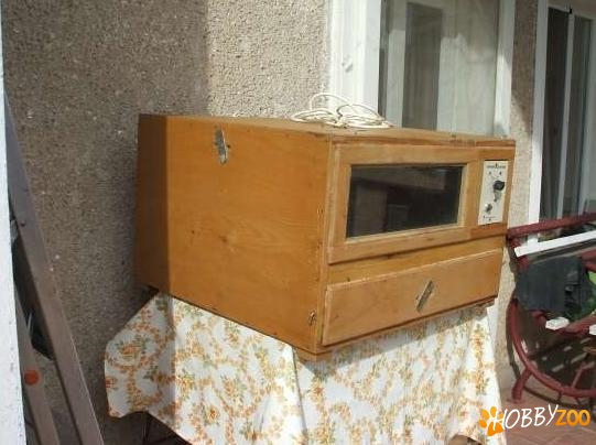 incubator oua capacitate mare