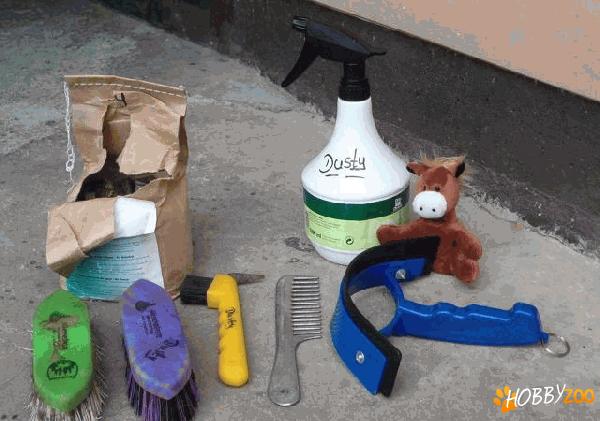   accesorii pentru curatat caii